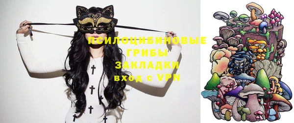гидропоника Абаза