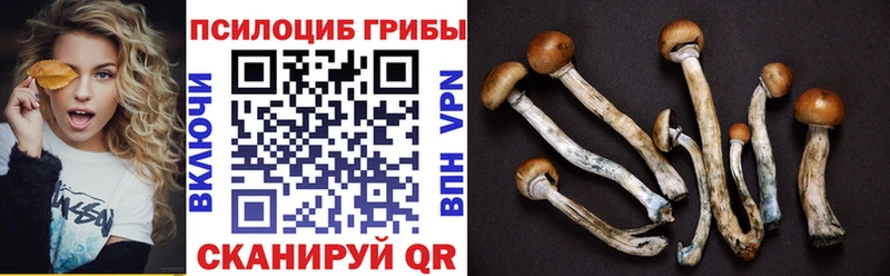 Псилоцибиновые грибы Cubensis  как найти закладки  Усмань 